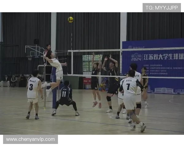 北京排球队的节奏与魅力探秘：排球运动的激情与团队精神