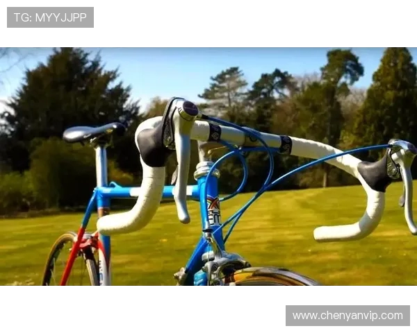 北京羽毛球队快攻革新之路：技术提升与战术变革的深度解析