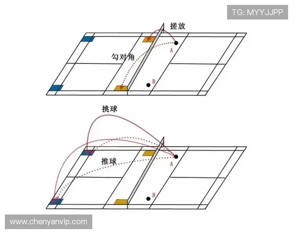 南京羽毛球队的战术调整与新老球员的表现分析 南京羽毛球队的战术调整与新老球员的表现分析