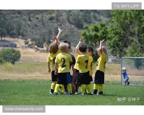 南京足球队的成长之路：从默默无闻到赛场辉煌的奋斗历程