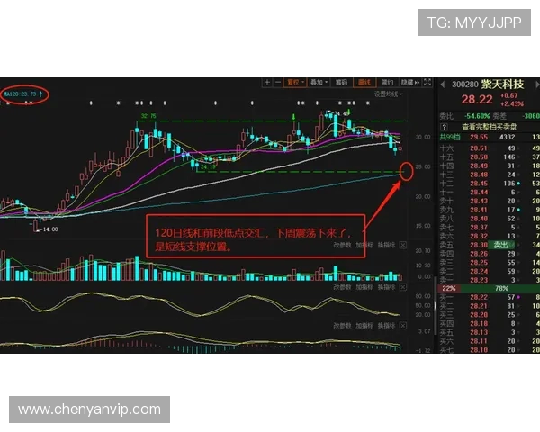 成都飞盘队默契配合的策略分析与实战经验分享