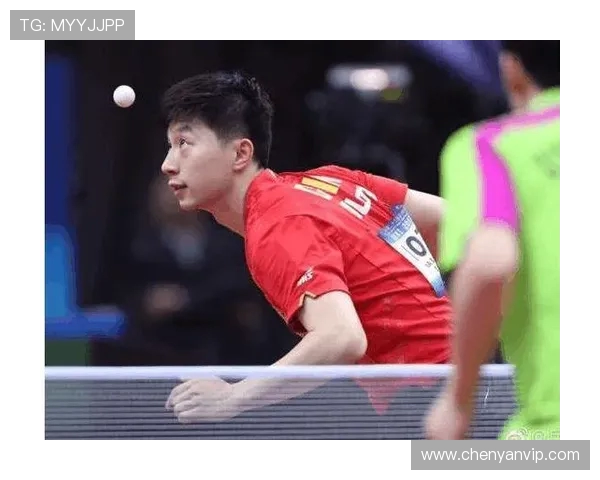 深圳乒乓球队强势领跑冠军赛积分榜积累80分展现实力