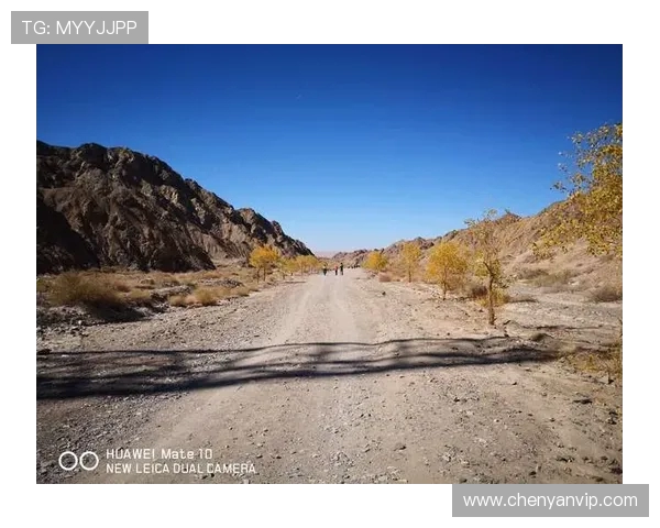 羽毛球女将陈丽的奋斗与梦想之路对话分享 羽毛球女将陈丽的奋斗与梦想之路对话分享