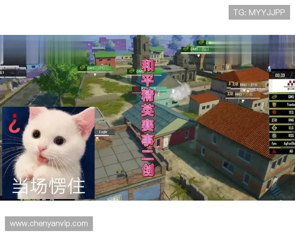 聚焦和平精英TES团队协作的成功秘诀与挑战分析