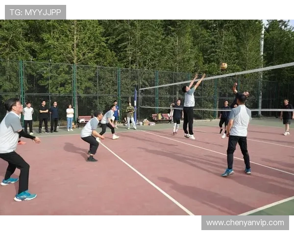 西安排球队在排球配合排行榜中荣登第九名展现强大实力与团队默契