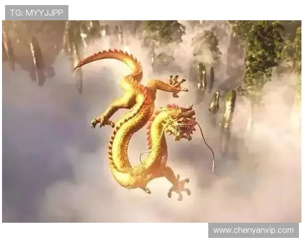 可兰白克的传奇人生与不屈精神探秘之旅 可兰白克的传奇人生与不屈精神探秘之旅