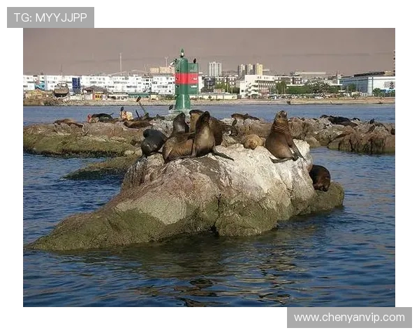 智利天主队与伊基克队的精彩对决即将上演,谁能赢得胜利成为焦点 智利天主队与伊基克队的精彩对决即将上演,谁能赢得胜利成为焦点