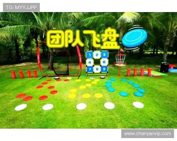 飞盘运动的魅力与挑战:西安飞盘队的成长与转型之路