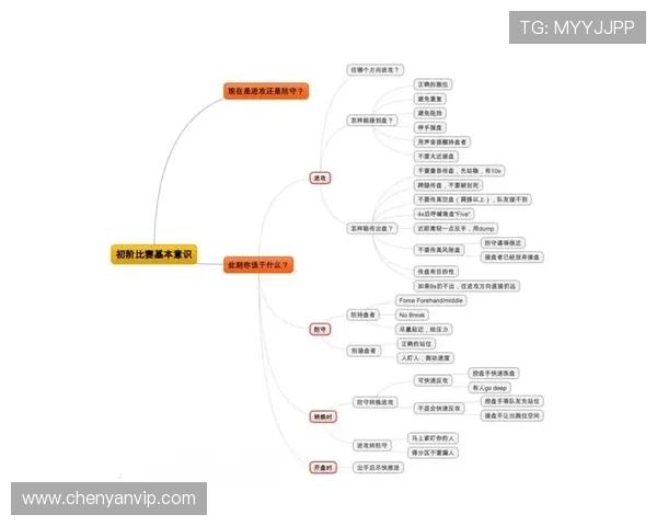 成都飞盘队防守策略解析与战术运用探讨