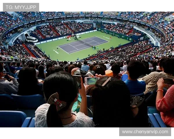 上海网球队运营分析:成功经验与面临挑战的深度探讨