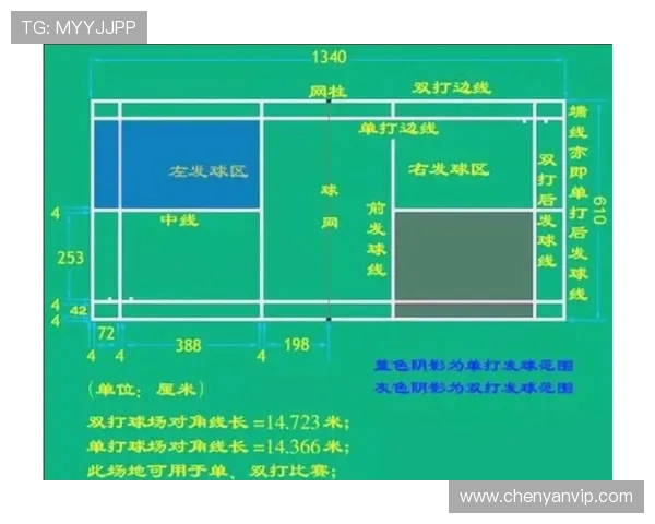广州羽毛球队整体压制打法深度分析与战术解读
